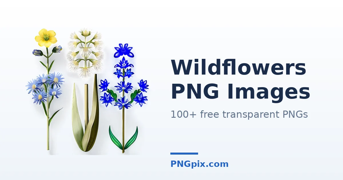 Wildflowers PNG images