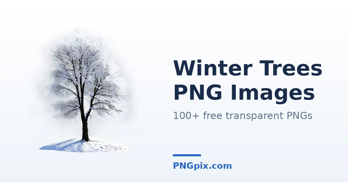 Winter Trees PNG images