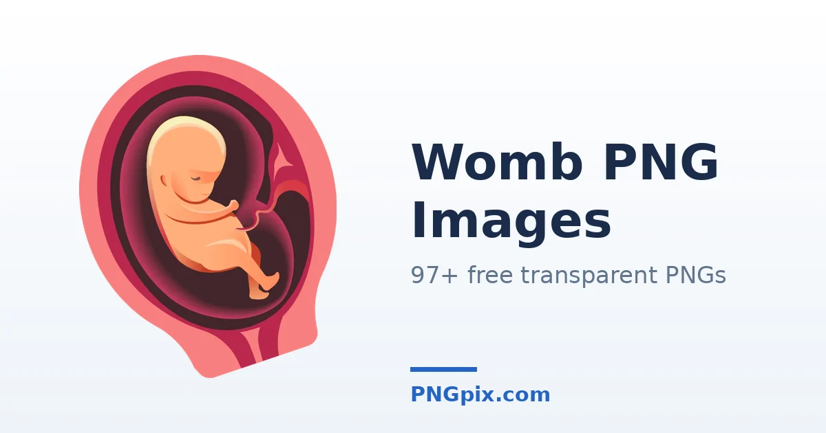 Womb PNG images