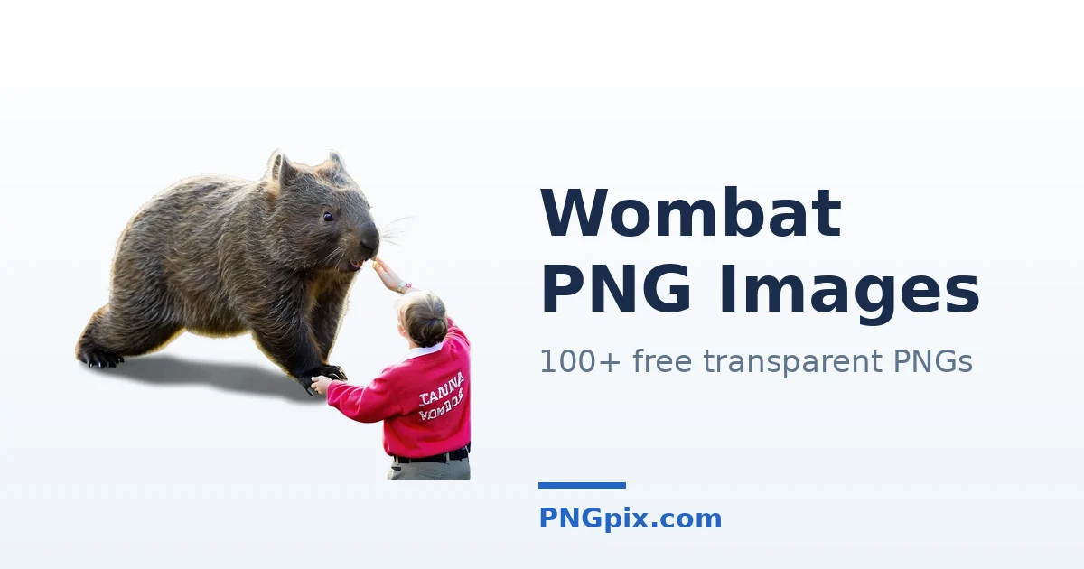 Wombat PNG images