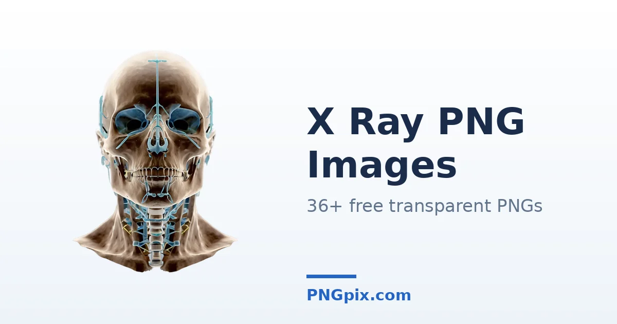 X Ray PNG images
