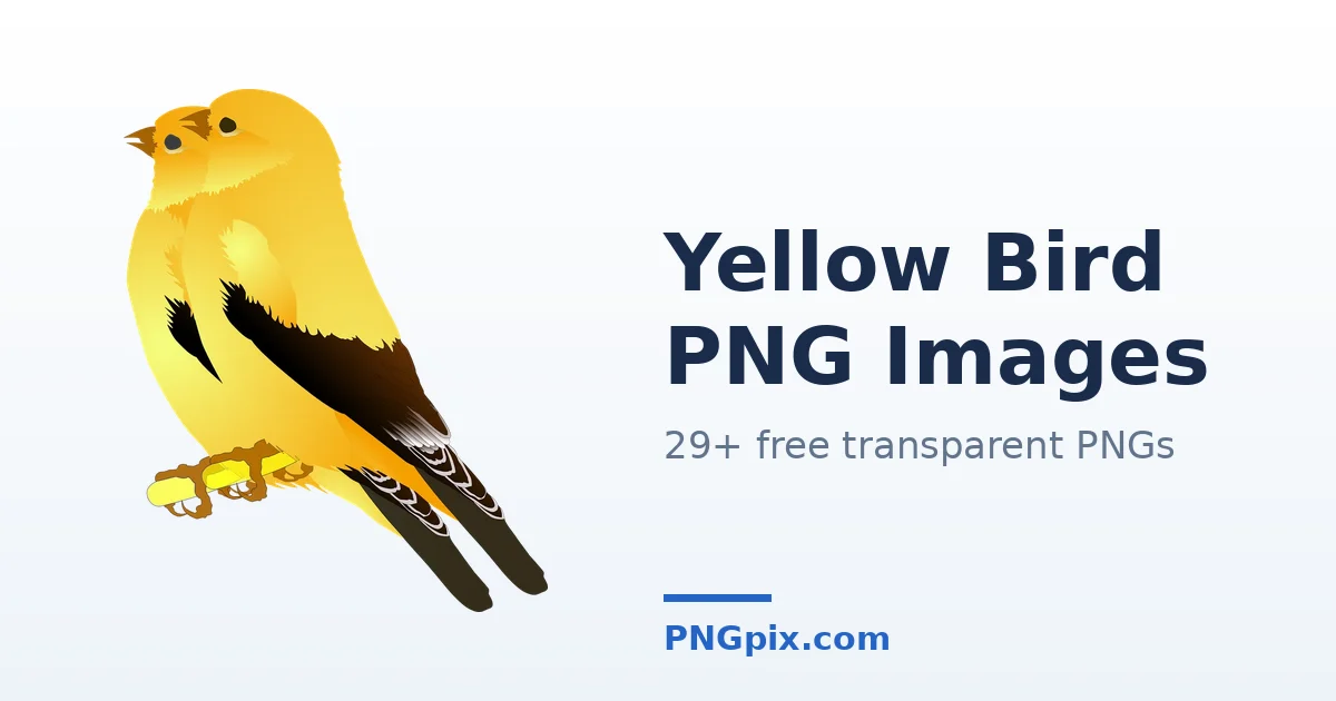 Yellow Bird PNG images