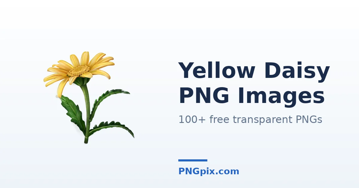 Yellow Daisy PNG images