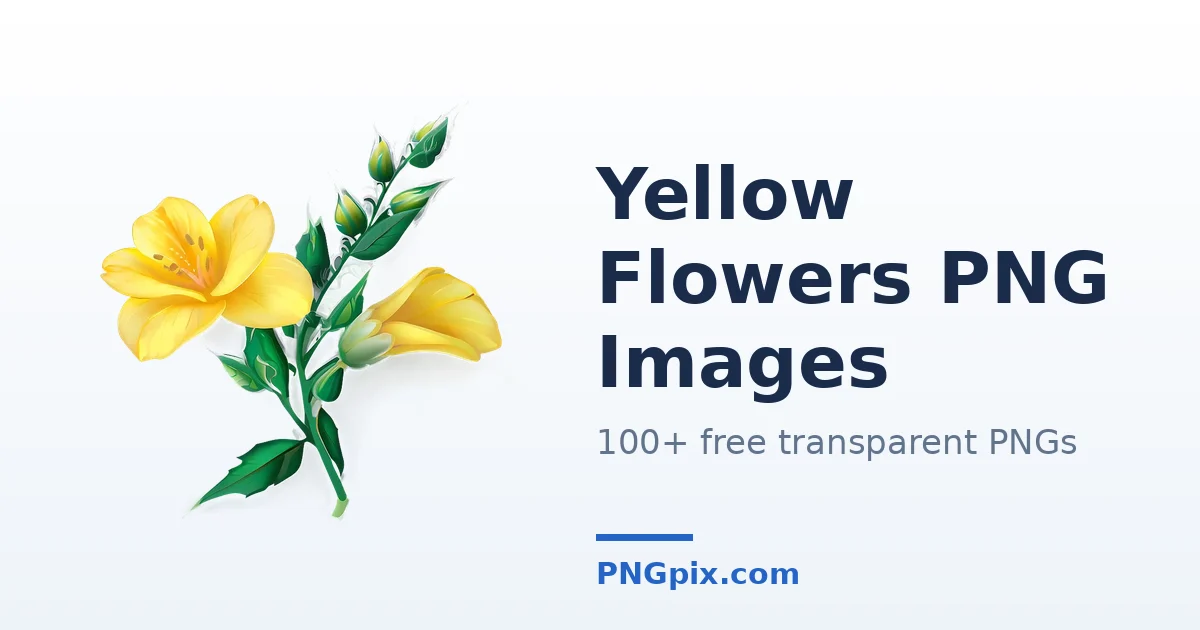 Yellow Flowers PNG images