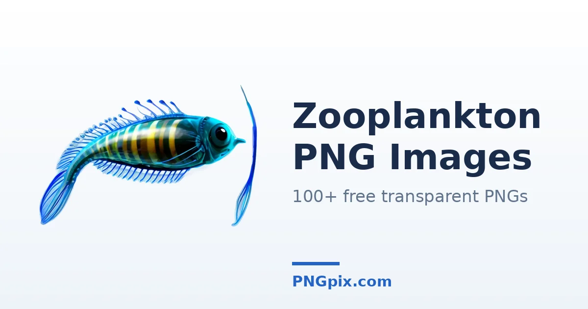 Zooplankton PNG images