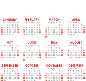 2019 Full Year Calendar Clipart PNG image