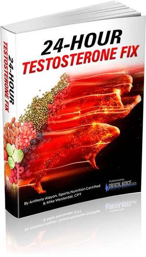 24 Hour Testosterone Fix Book Cover PNG image