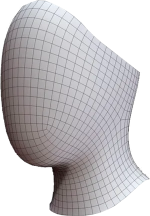 3 D Model Mannequin Head Wireframe