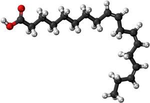 3 D Molecular Structureof Fatty Acid PNG image