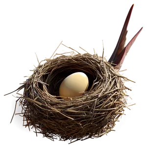 3d Bird Nest PNG 10 PNG