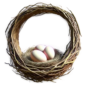 3d Bird Nest PNG 88 PNG