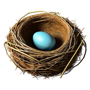 3d Bird Nest PNG Gjq PNG