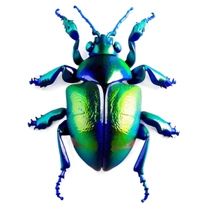 3d Bug PNG 05242024