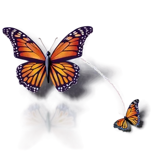 3d Butterfly In 3d Environment PNG 4
