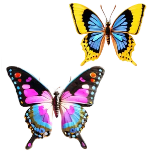 3d Butterfly In Close-up PNG Dtd42 PNG