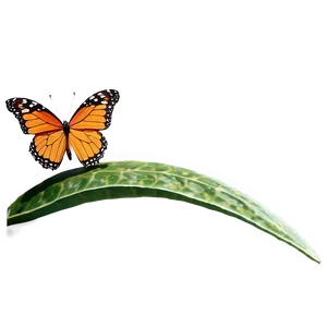 3d Butterfly On Leaf PNG 06292024