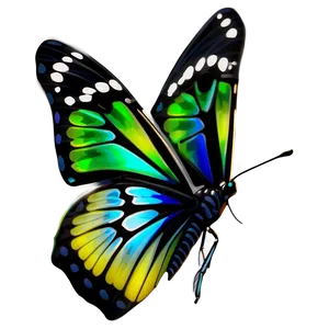 3d Butterfly With Reflective Surface PNG 37 PNG