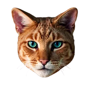 3d Cat Ear Model PNG 06212024 PNG