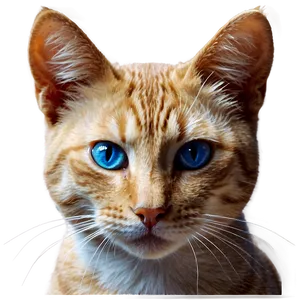 3d Cat Filter PNG Uud PNG
