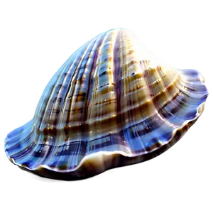 3d Clam Shell Png 06292024 PNG image