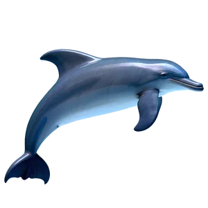 3d Dolphin Png 05062024 PNG image