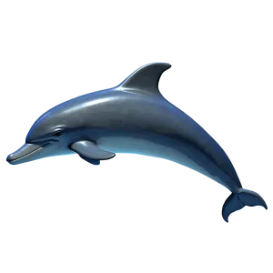 3d Dolphin PNG 37