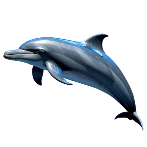 3d Dolphin Png Aox PNG image