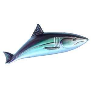 3d Fin Illustration Png 15 PNG image