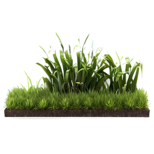 3d Grass Patch Png 29 PNG image