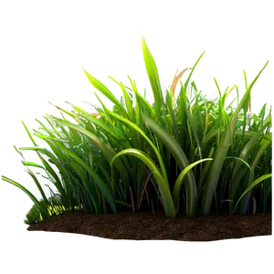 3d Grass Patch Png Utt PNG image