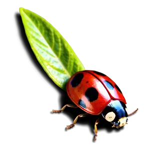 3d Ladybug Render PNG Eih20