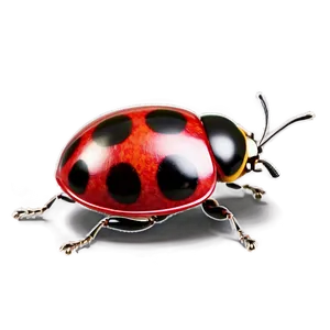 3d Ladybug Render PNG Feb42