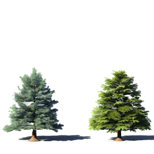 3d Model Tree Elevation PNG 06262024 PNG