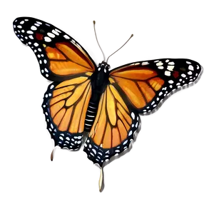 3d Monarch Butterfly Png Sxr PNG image