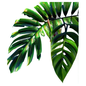 3d Palm Leaves PNG 95