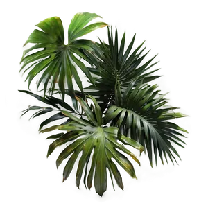 3d Palm Leaves PNG Nne52