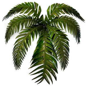 3d Palm Leaves PNG Xuj87