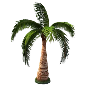 3d Palm Tree PNG 20