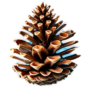 3d Pine Cone Png 06202024 PNG image