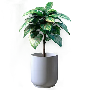 3d Plant Models PNG Qyq