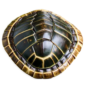 3d Rendered Turtle Shell Png 06132024 PNG image