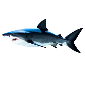 3d Shark Image Png 33 PNG image