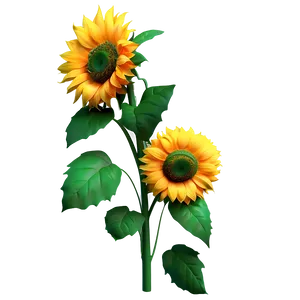 3d Sunflower PNG 38