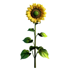 3d Sunflower Transparent PNG 61 PNG