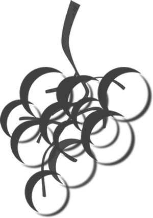A Bunch Of Circles On A Black Background PNG image