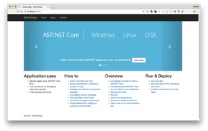 A S P N E T Core Webpage Screenshot PNG image