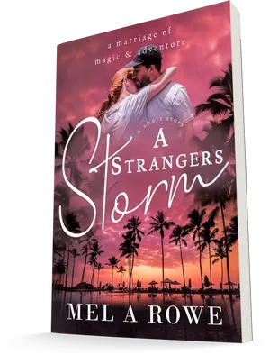 A_ Strangers_ Storm_ Book_ Cover