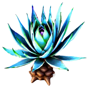 Abstract Agave Plant PNG Jfn24 PNG