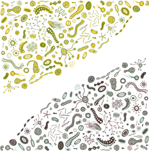 Abstract Bacterial Ecosystem Art