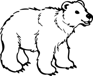 Abstract Bear Face Silhouette